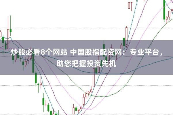 炒股必看8个网站 中国股指配资网：专业平台，助您把握投资先机