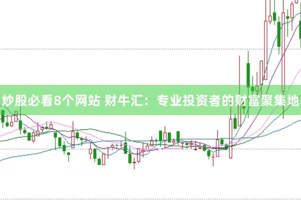 炒股必看8个网站 财牛汇：专业投资者的财富聚集地