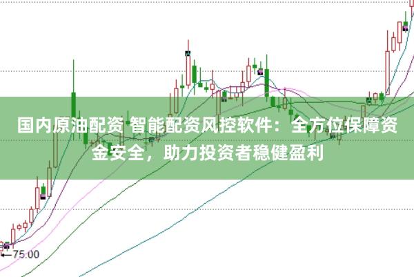 国内原油配资 智能配资风控软件：全方位保障资金安全，助力投资者稳健盈利