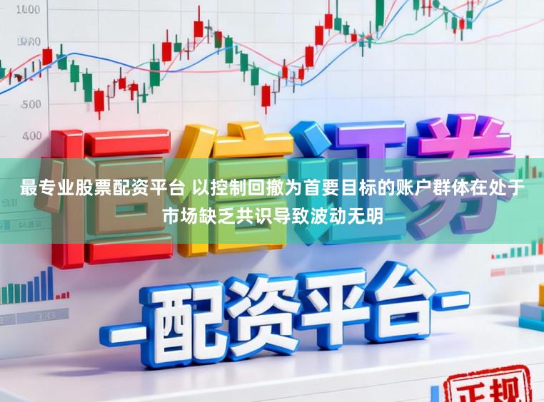 最专业股票配资平台 以控制回撤为首要目标的账户群体在处于市场缺乏共识导致波动无明