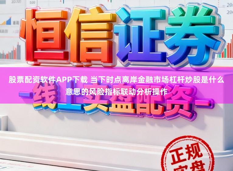 股票配资软件APP下载 当下时点离岸金融市场杠杆炒股是什么意思的风险指标联动分析操作